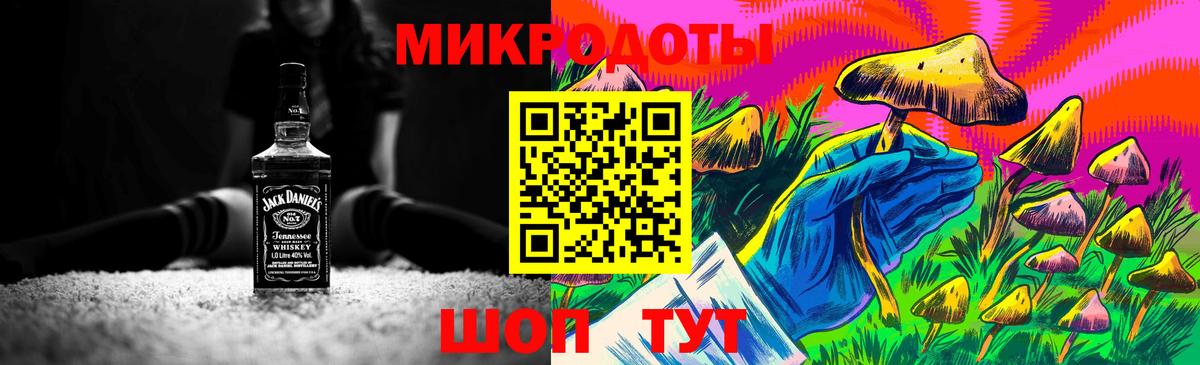 Галлюциногенные грибы Psilocybine cubensis Севастополь